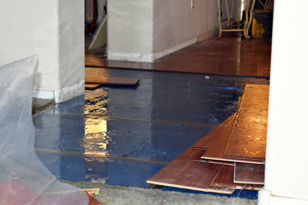 Professional Sewage Cleanup technician working in Mexia, TX